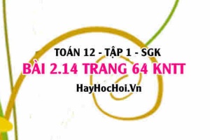 Bài 2.14 trang 64 Toán 12 tập 1 Kết nối tri thức